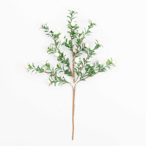 14" SMOW BERRY BOXWOOD PICK