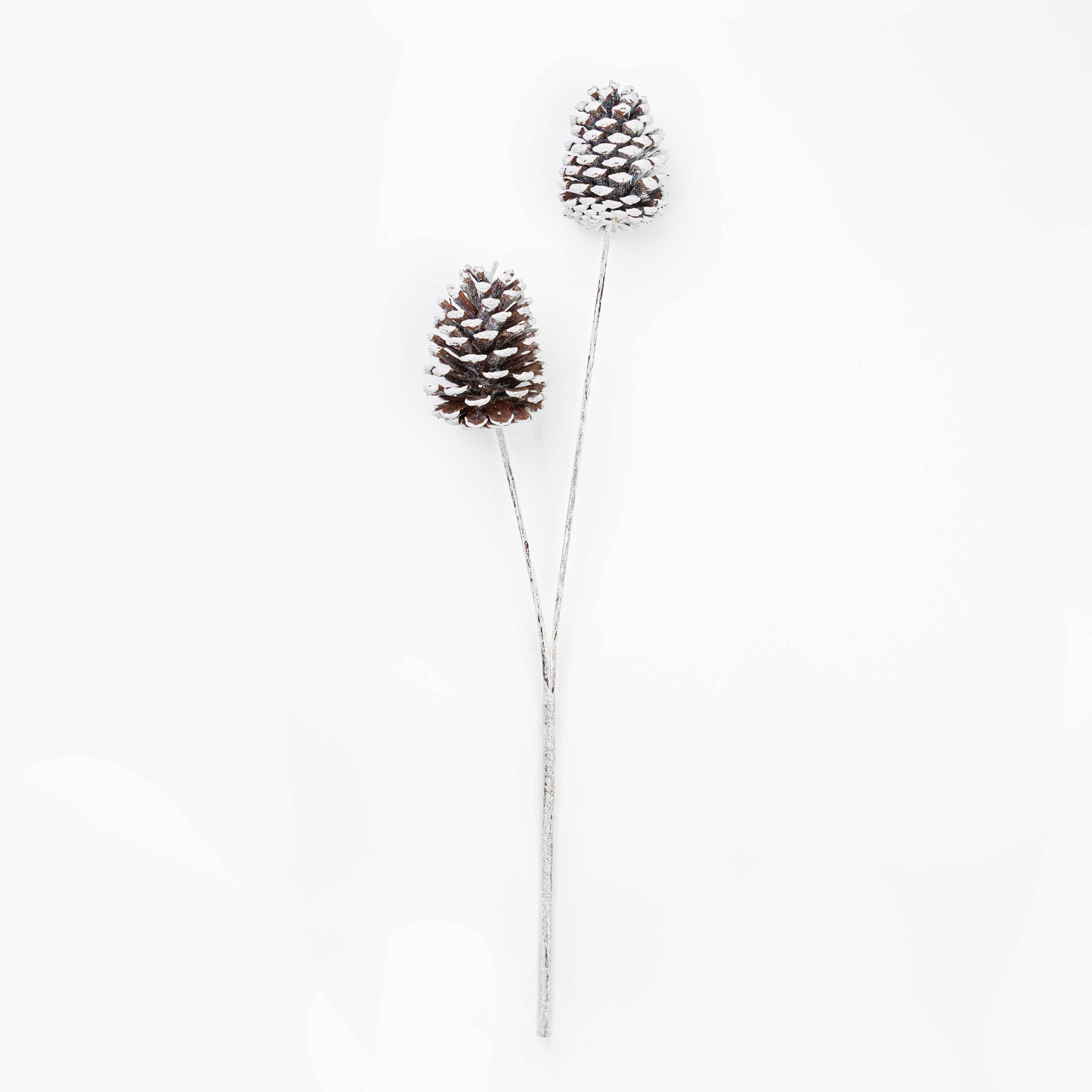 24" PINECONE SPRAY