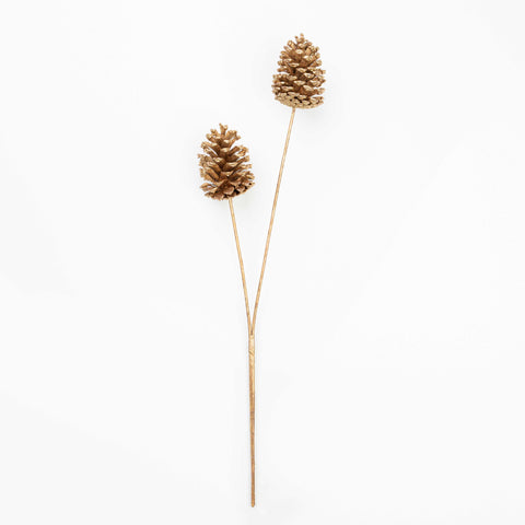 24" PINECONE SPRAY