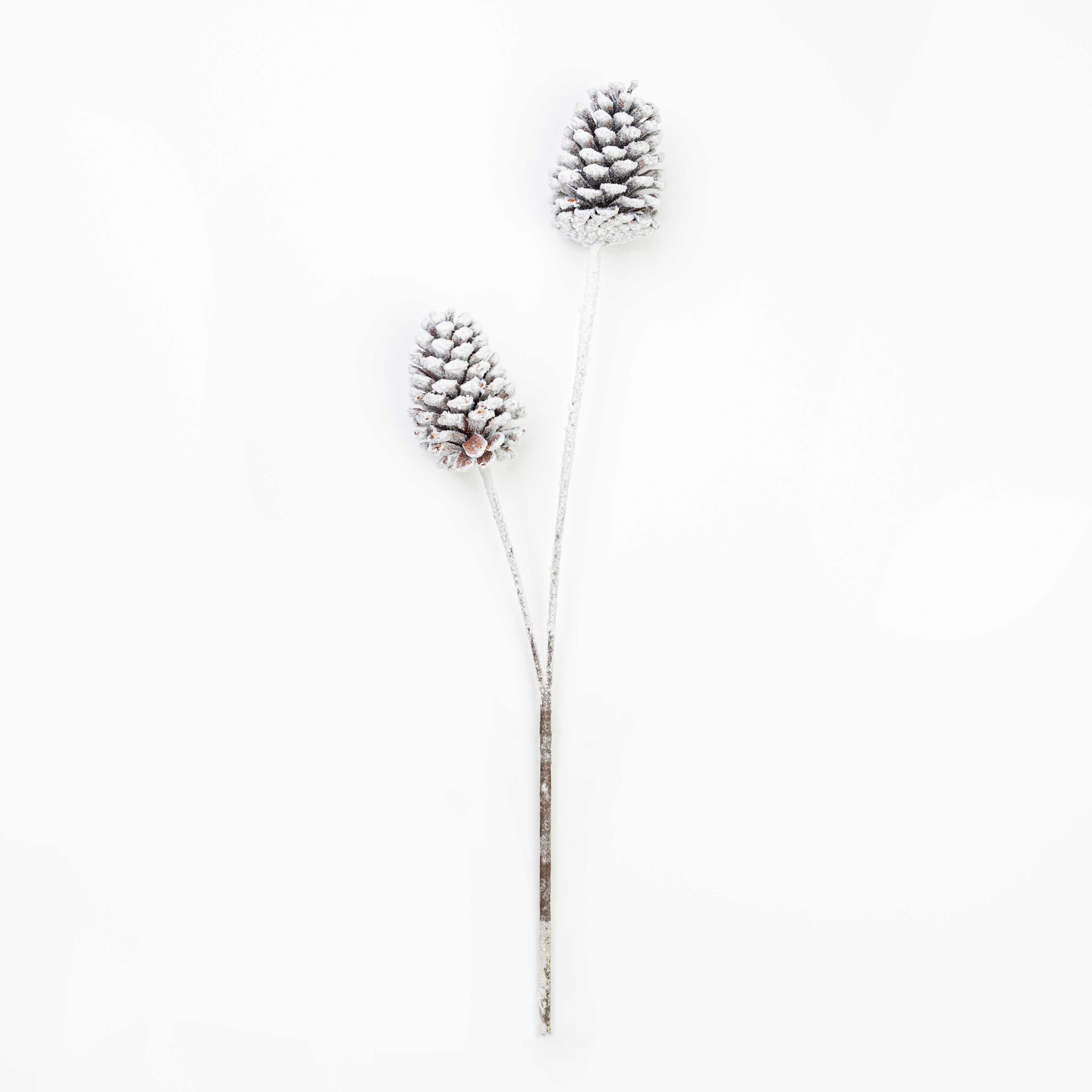 24" PINECONE SPRAY