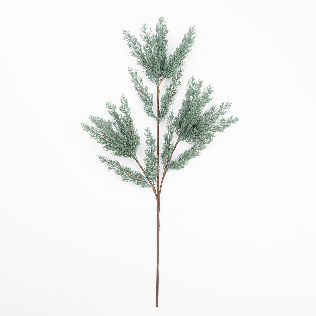 30" CEDAR SPRAY