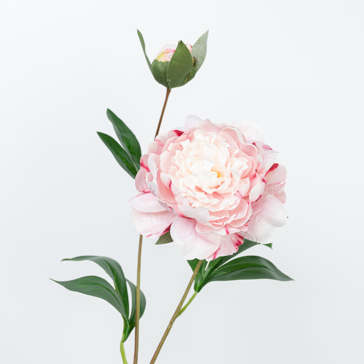 24.5" PEONY SPRAY