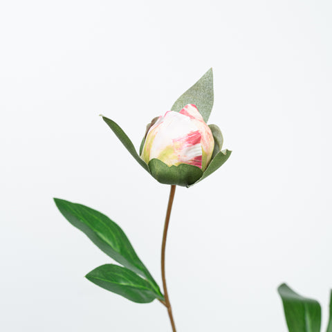 24.5" PEONY SPRAY