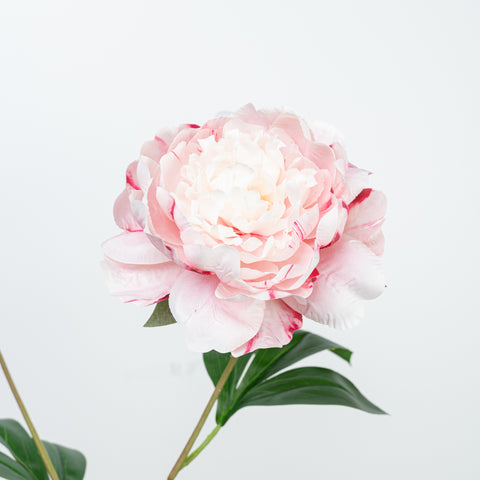 24.5" PEONY SPRAY