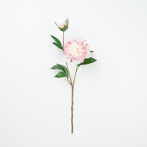 24.5" PEONY SPRAY