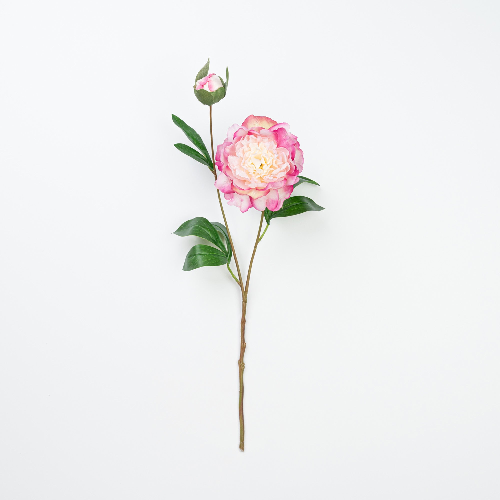 24.5" PEONY SPRAY