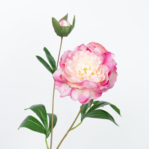24.5" PEONY SPRAY