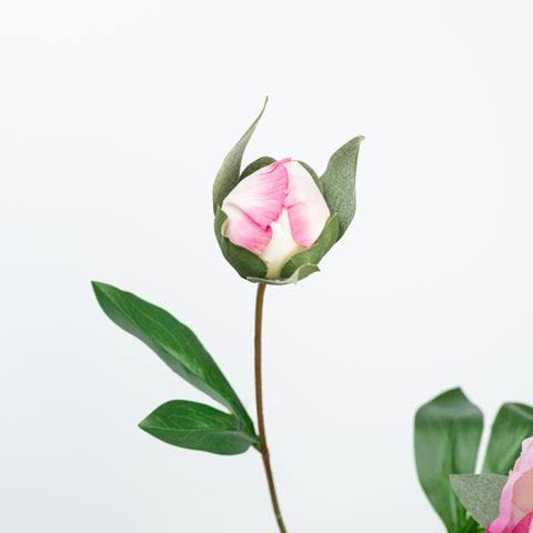 24.5" PEONY SPRAY