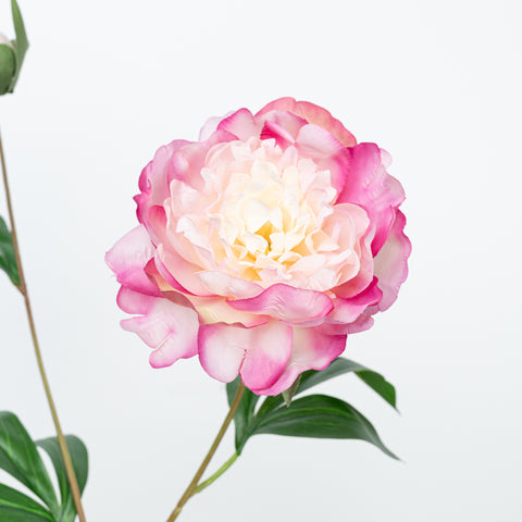 24.5" PEONY SPRAY