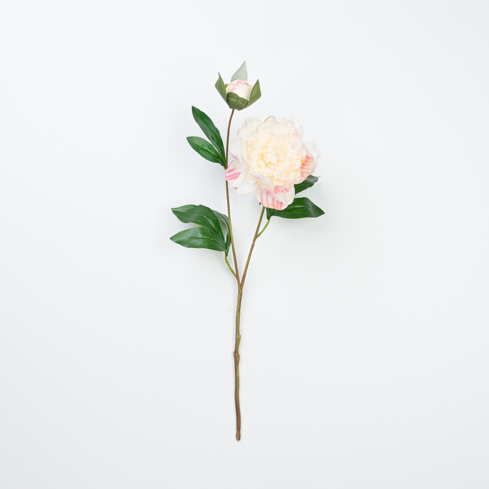 24.5" PEONY SPRAY