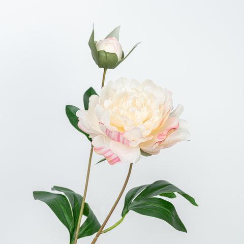 24.5" PEONY SPRAY