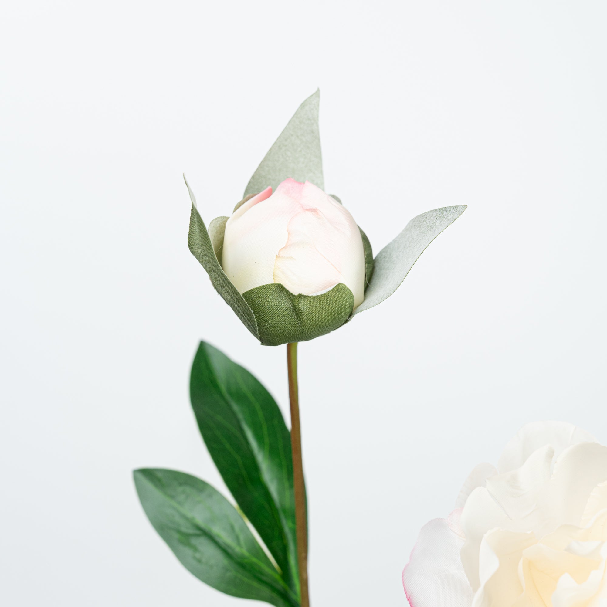 24.5" PEONY SPRAY