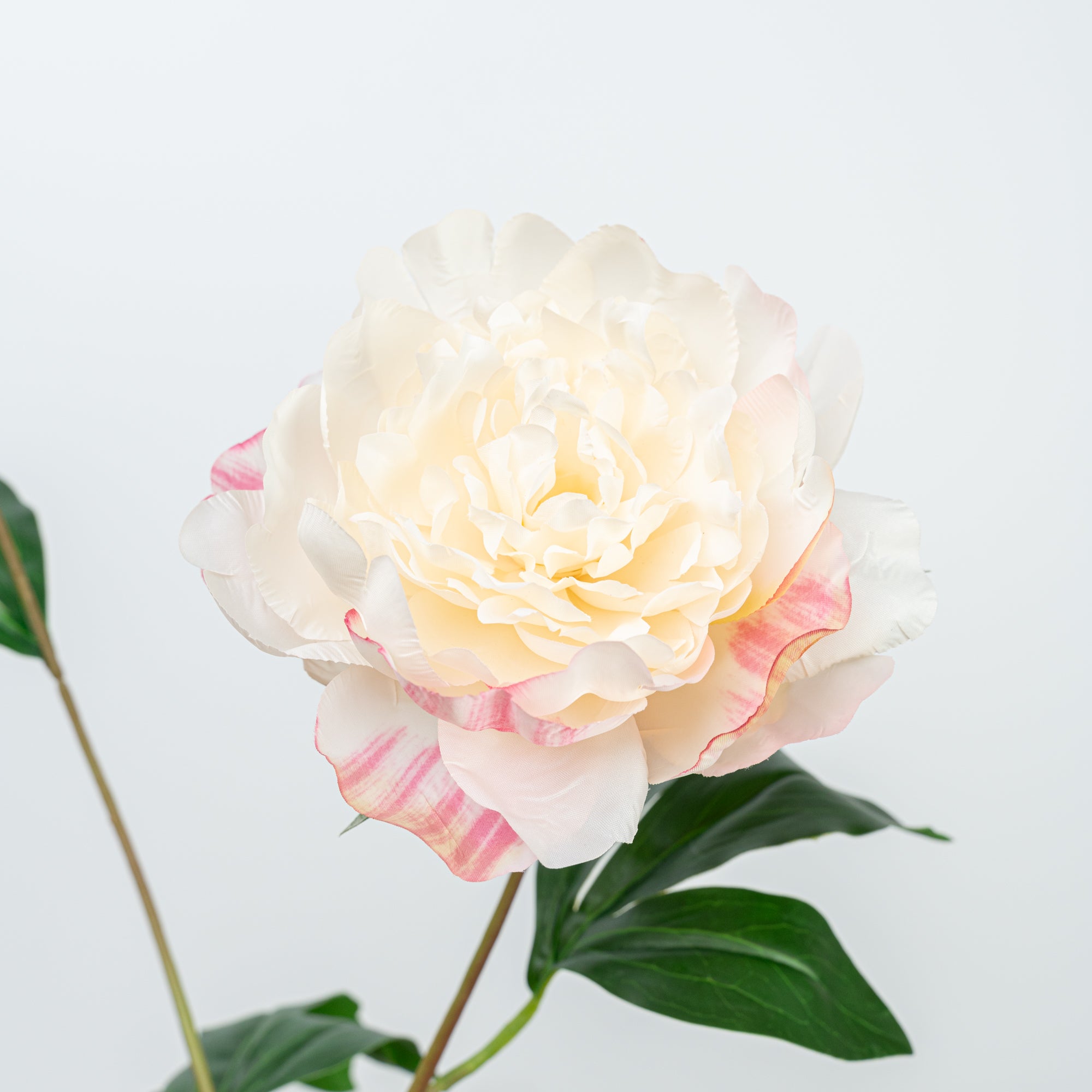 24.5" PEONY SPRAY