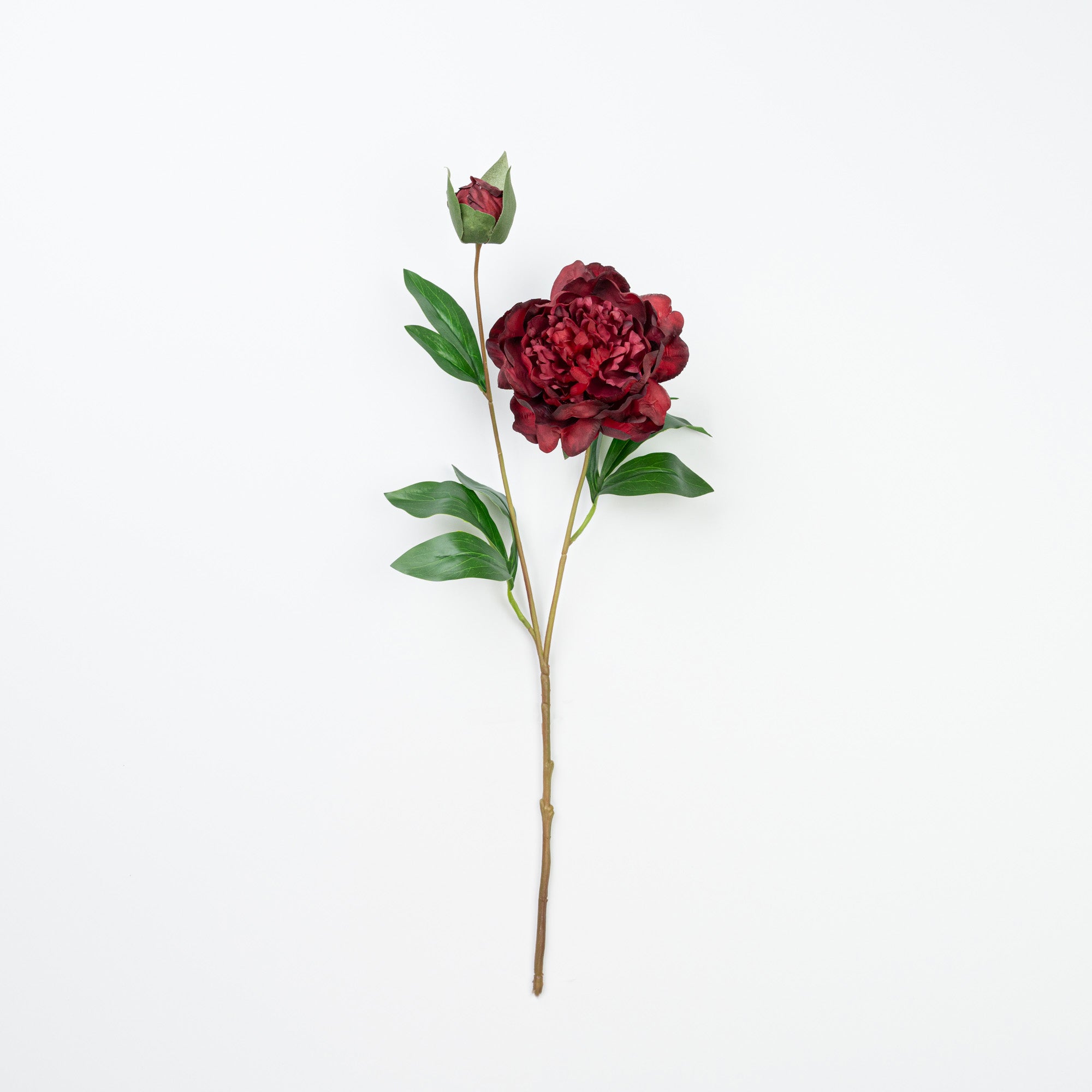 24.5" PEONY SPRAY