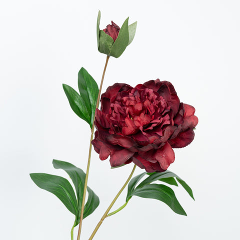 24.5" PEONY SPRAY