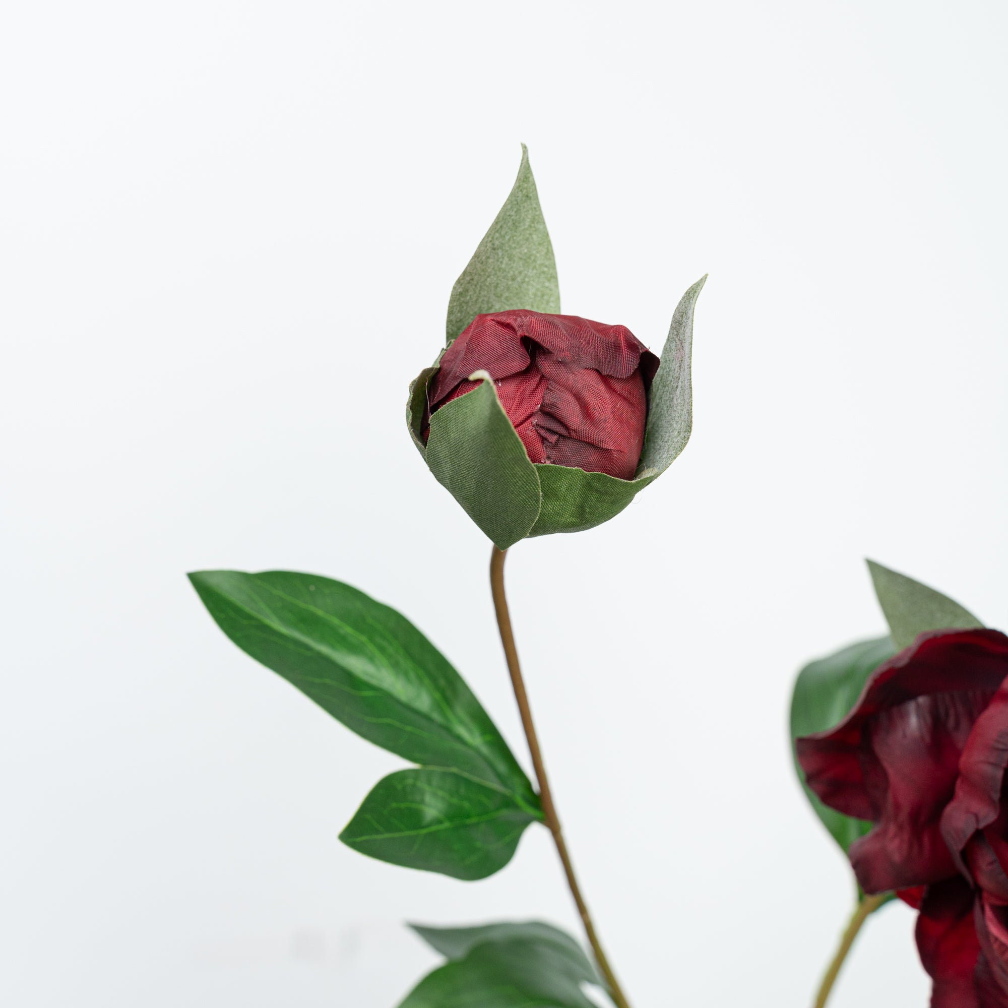 24.5" PEONY SPRAY