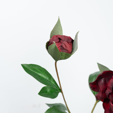 24.5" PEONY SPRAY