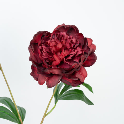 24.5" PEONY SPRAY