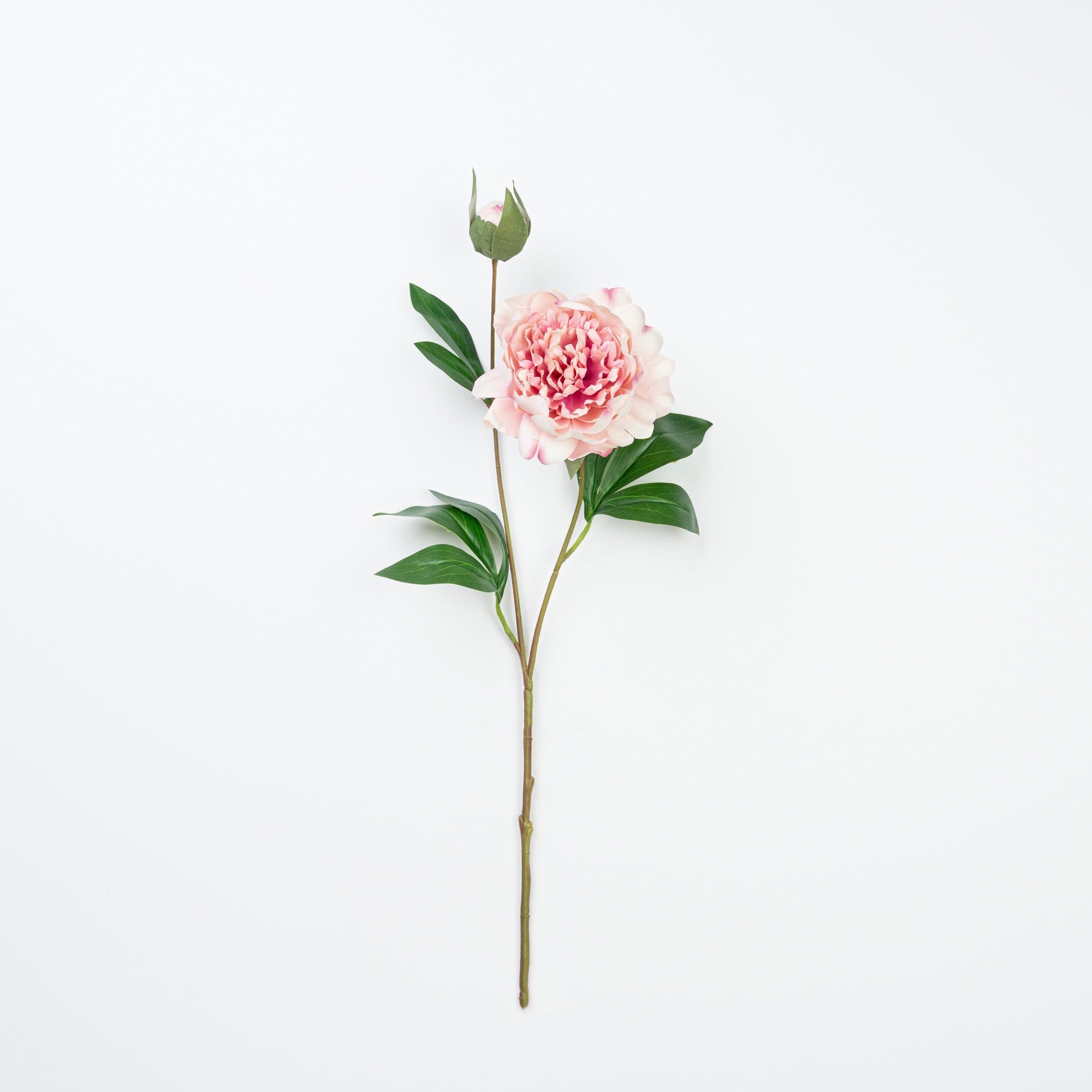 24.5" PEONY SPRAY