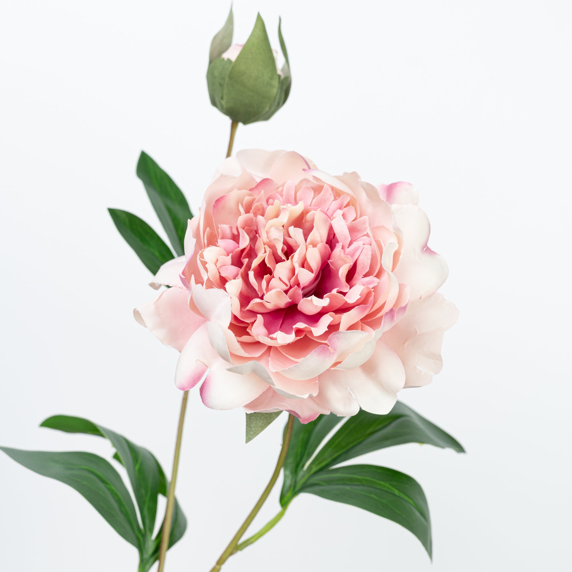 24.5" PEONY SPRAY