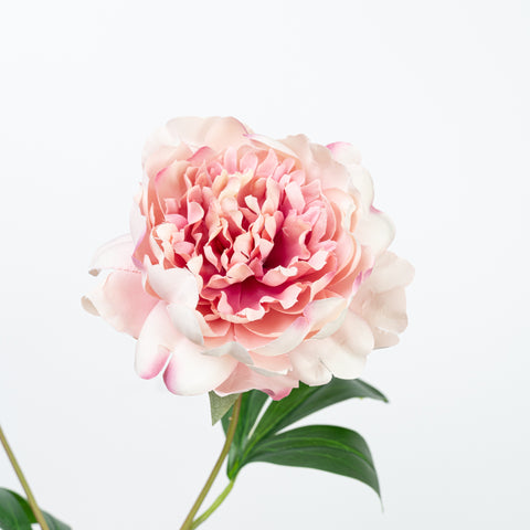 24.5" PEONY SPRAY