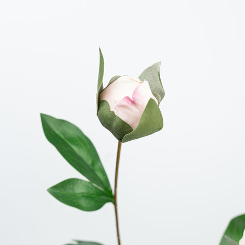 24.5" PEONY SPRAY