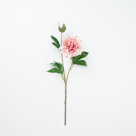 24.5" PEONY SPRAY