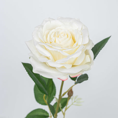 31" REAL TOUCH ROSE STEM