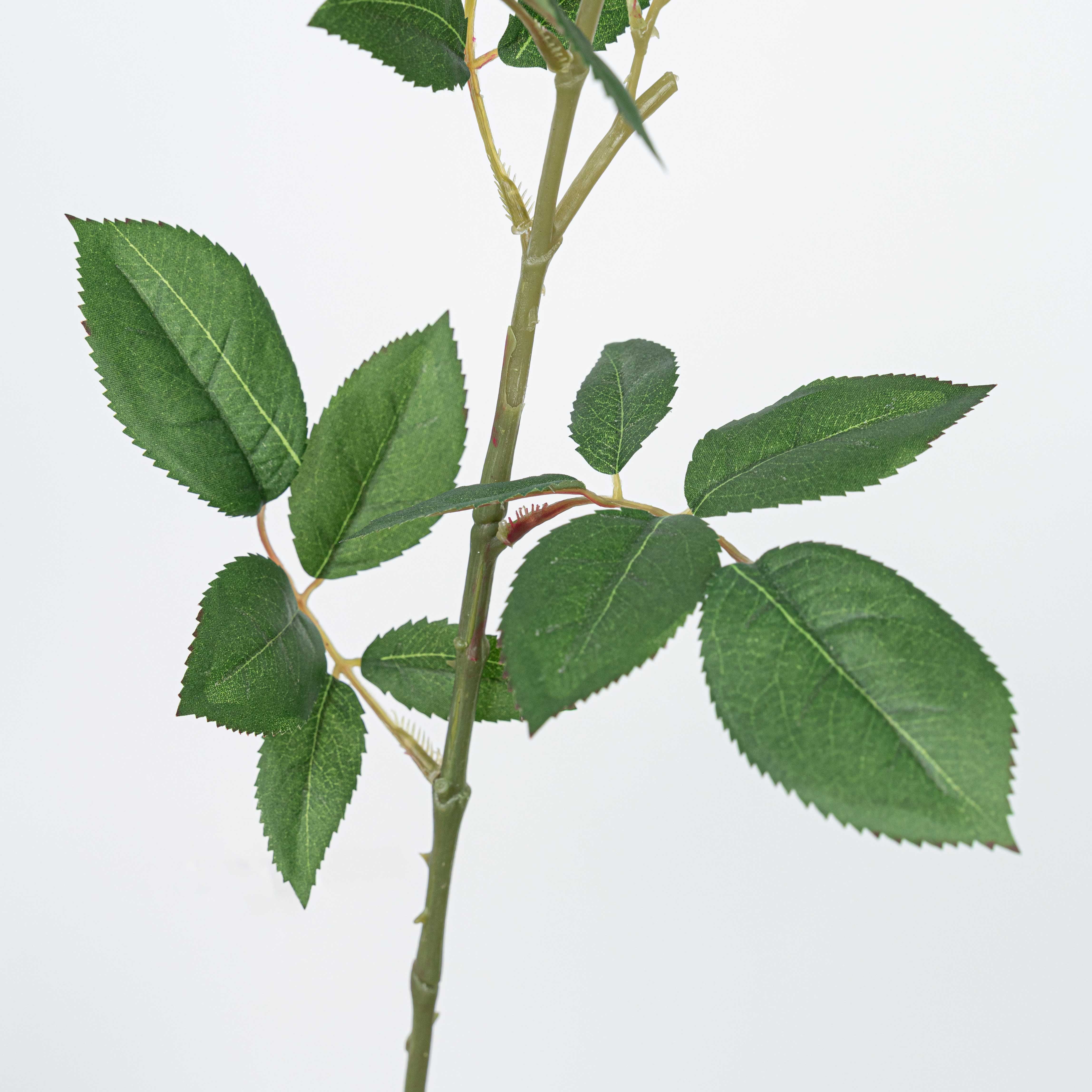 31" REAL TOUCH ROSE STEM