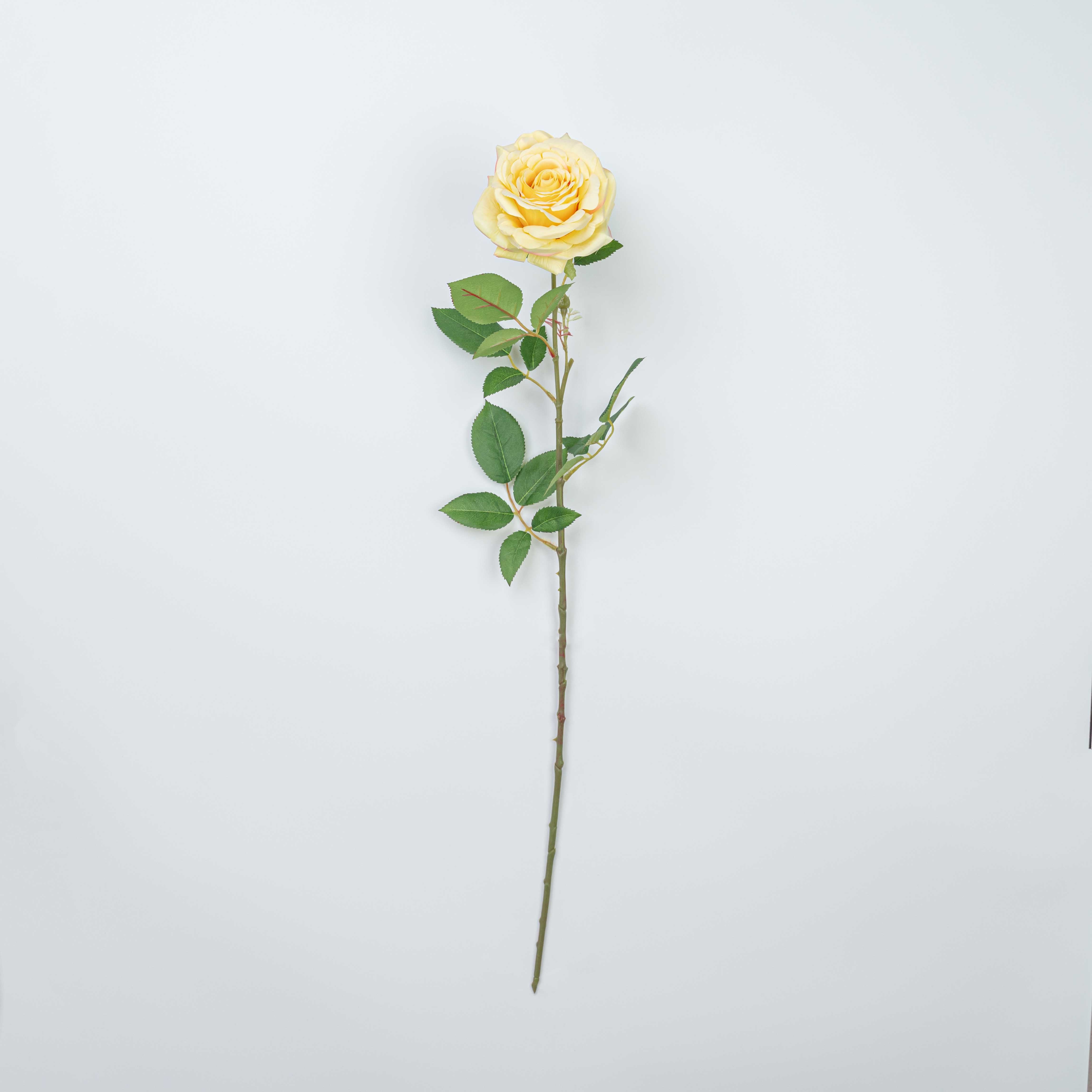 31" REAL TOUCH ROSE STEM