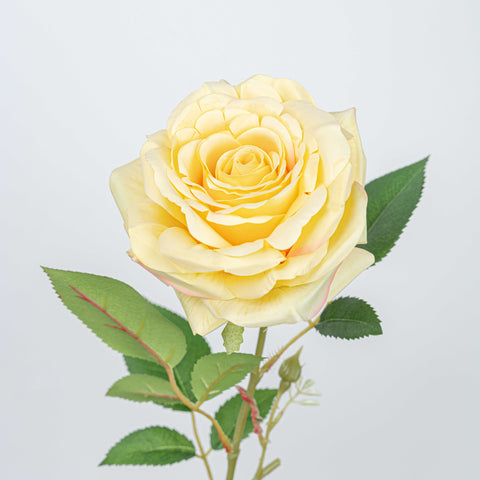 31" REAL TOUCH ROSE STEM