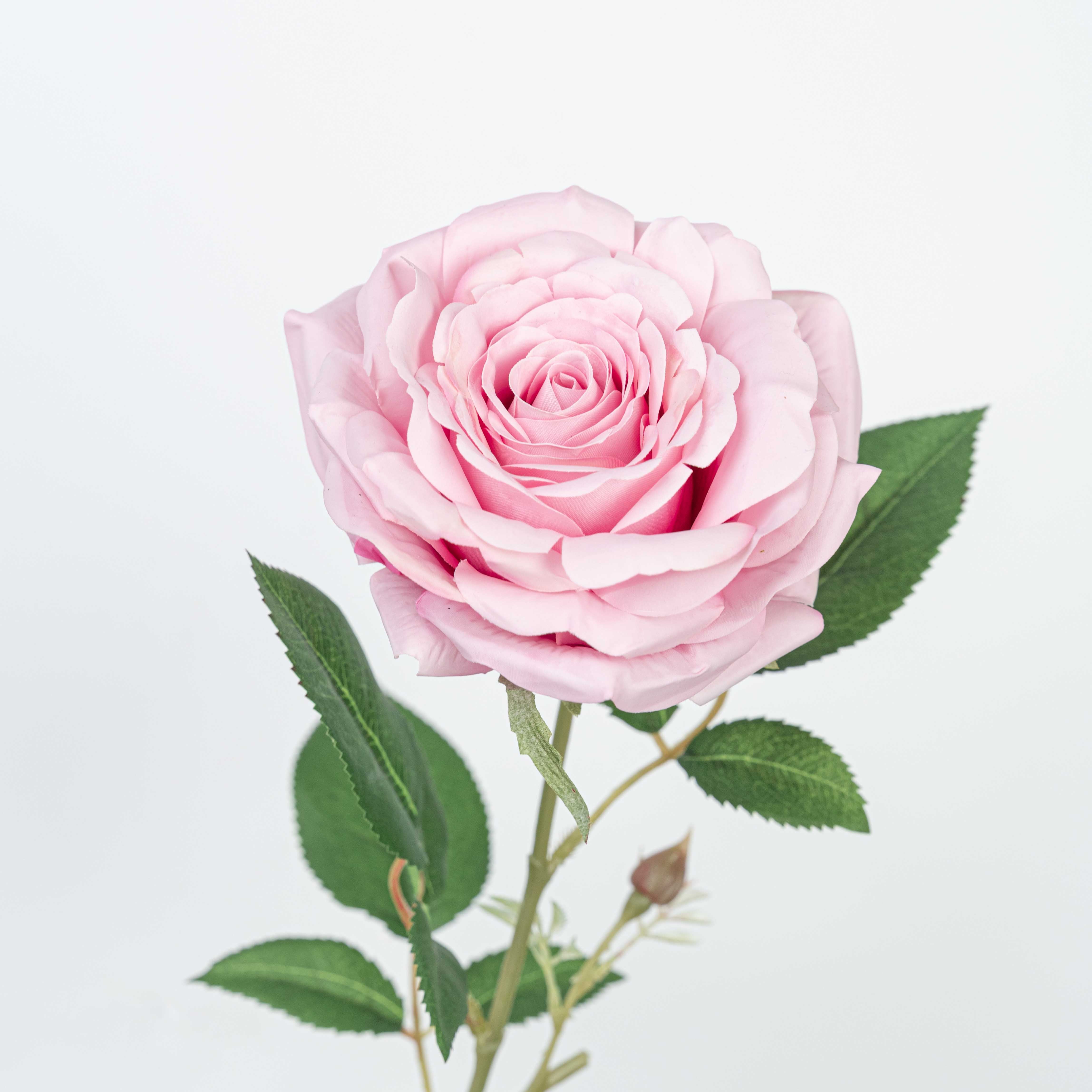 31" REAL TOUCH ROSE STEM
