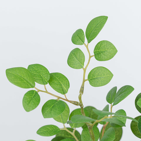 38" JUJUBE LEAF SPRAY