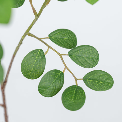 38" JUJUBE LEAF SPRAY