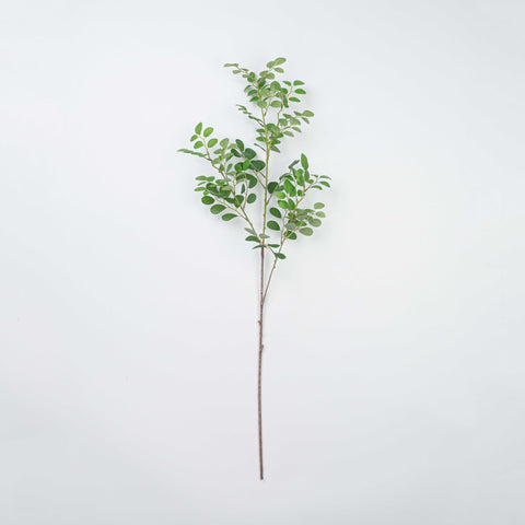 38" JUJUBE LEAF SPRAY