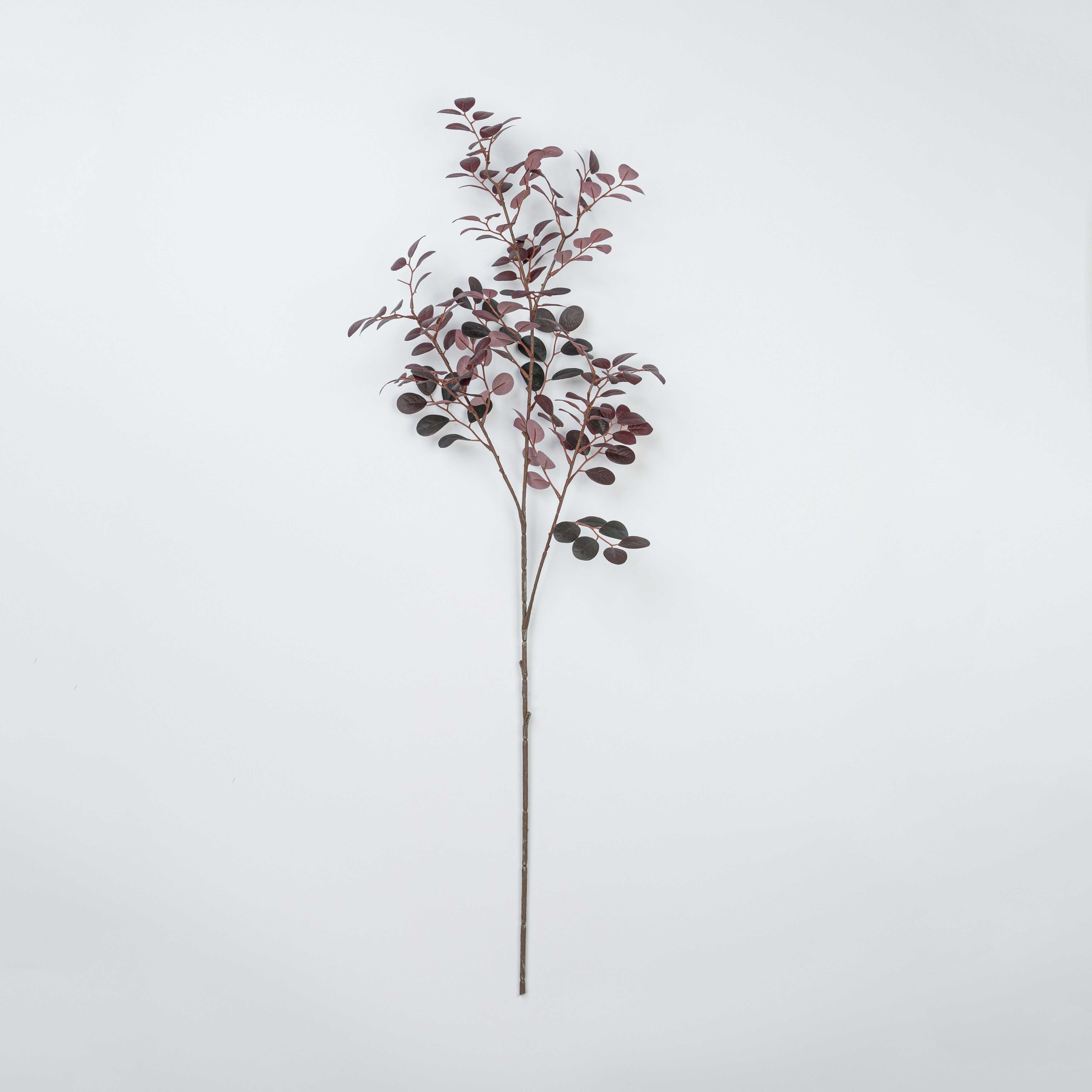 38" JUJUBE LEAF SPRAY