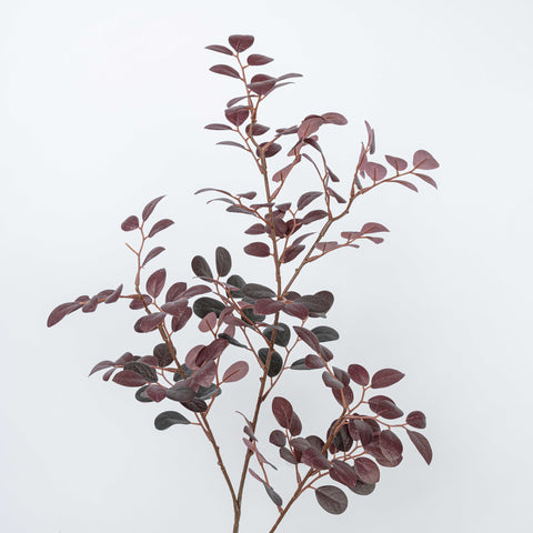38" JUJUBE LEAF SPRAY