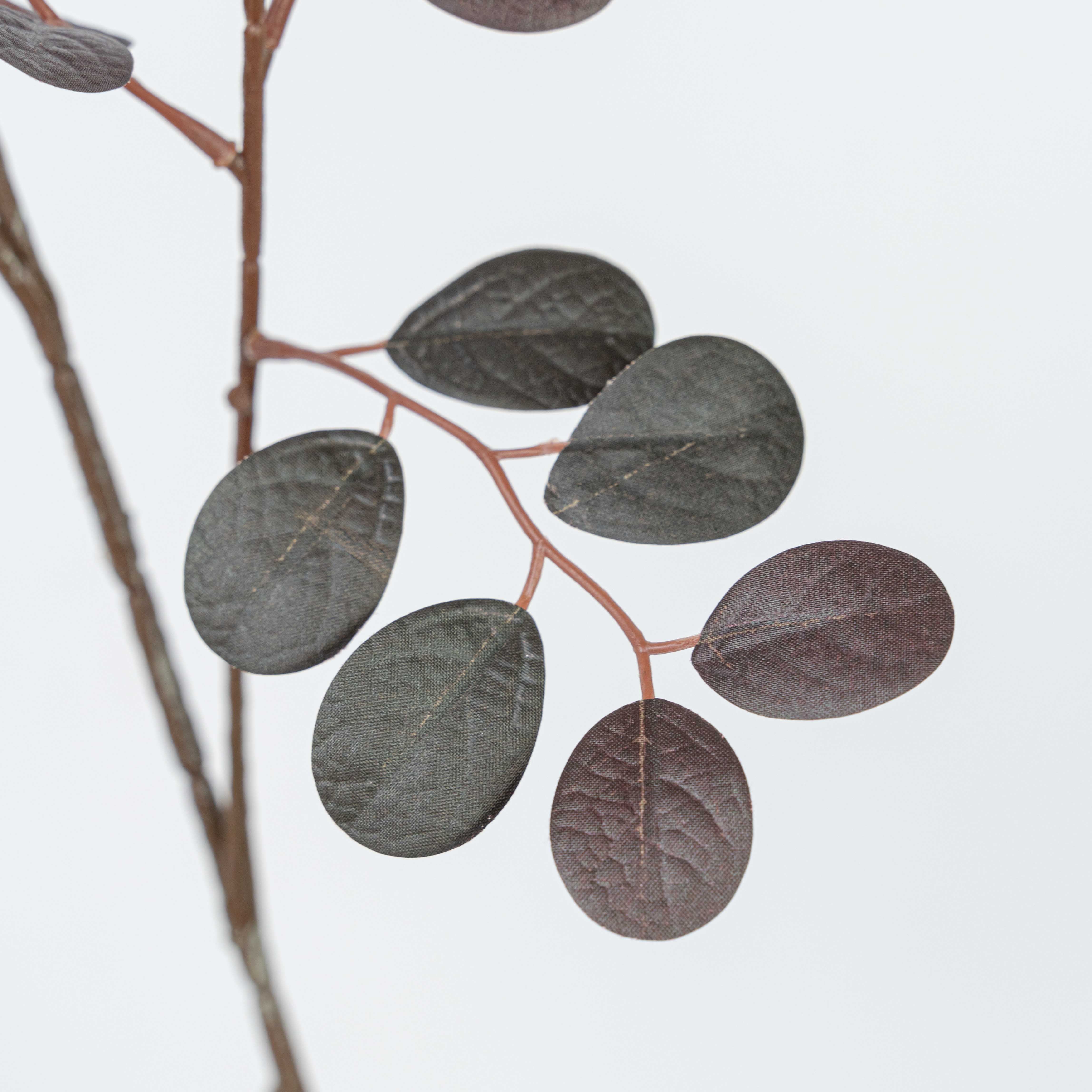 38" JUJUBE LEAF SPRAY