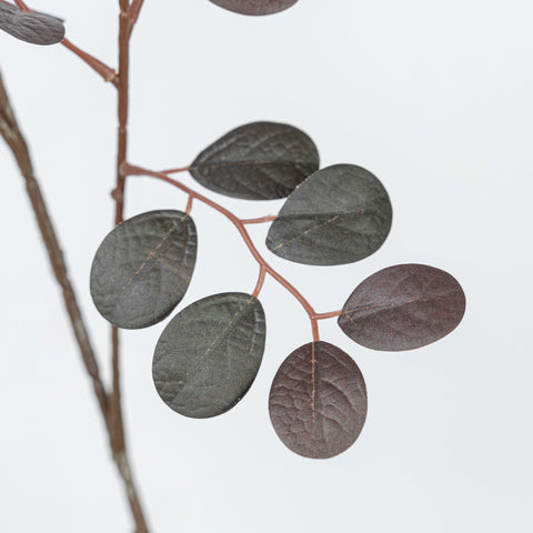 38" JUJUBE LEAF SPRAY