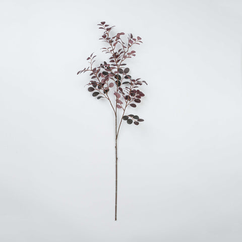 38" JUJUBE LEAF SPRAY
