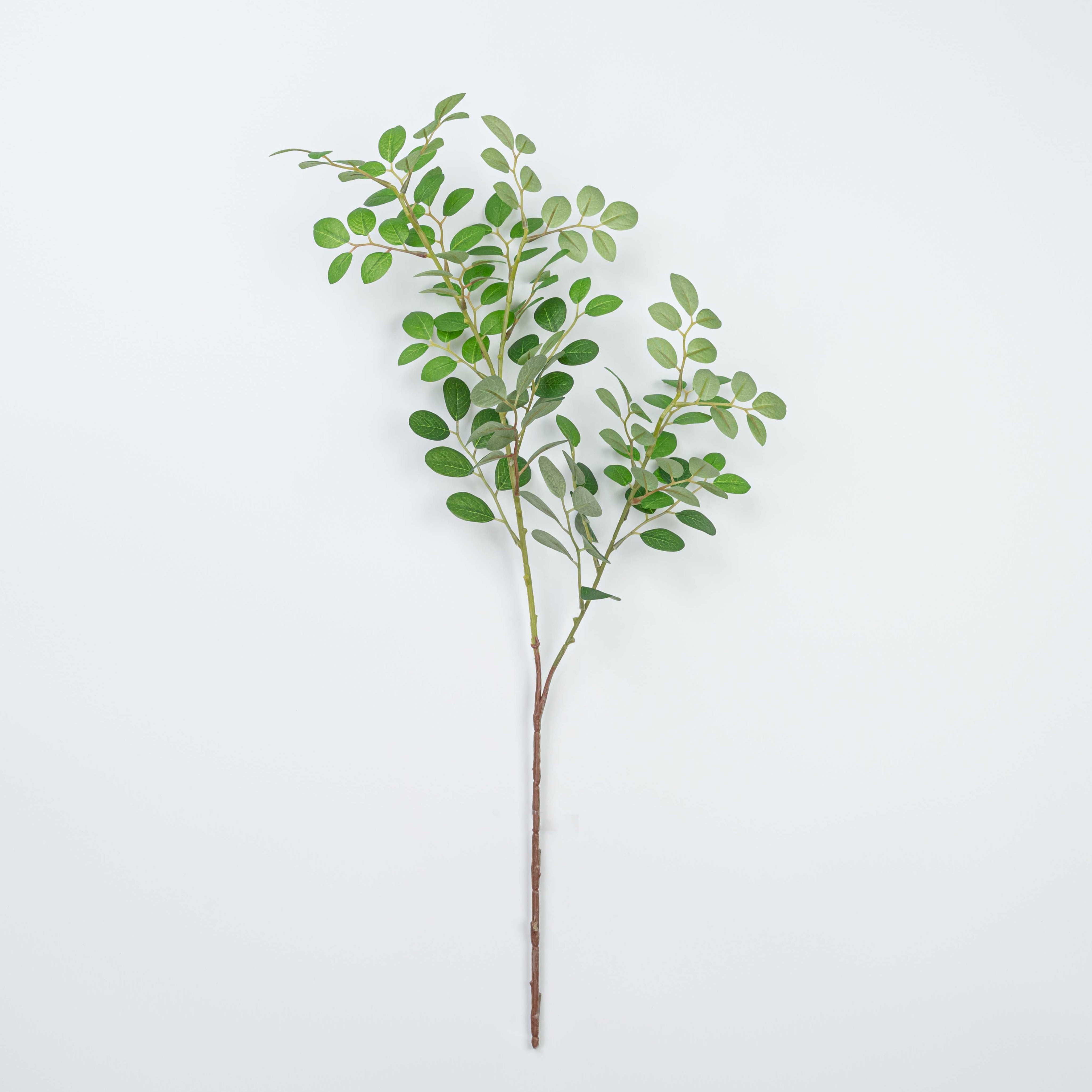 27" JUJUBE LEAF SPRAY