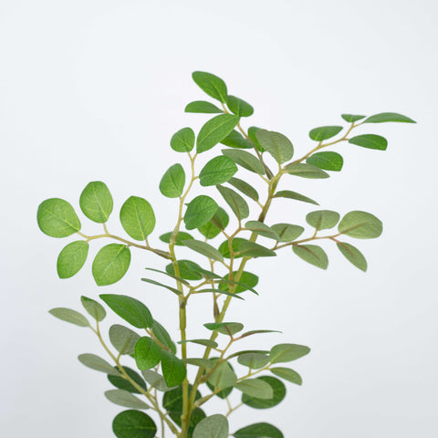 27" JUJUBE LEAF SPRAY