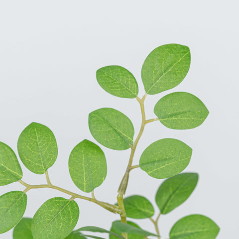 27" JUJUBE LEAF SPRAY