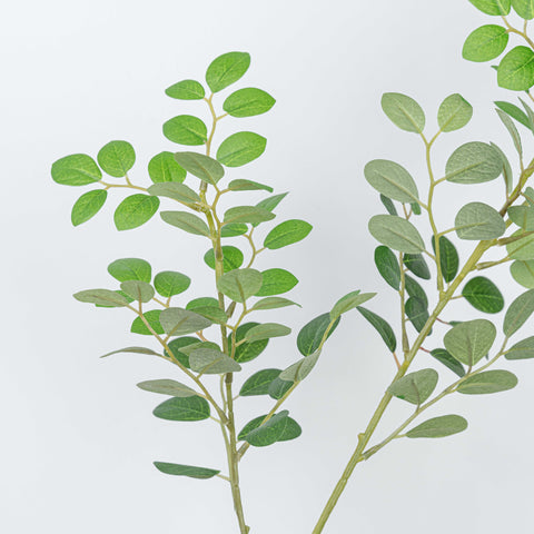 27" JUJUBE LEAF SPRAY