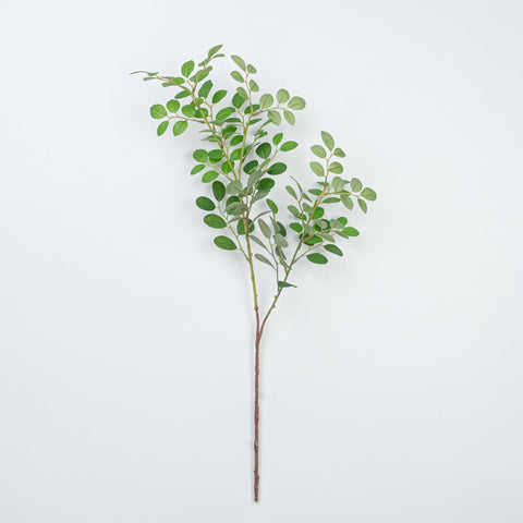 27" JUJUBE LEAF SPRAY