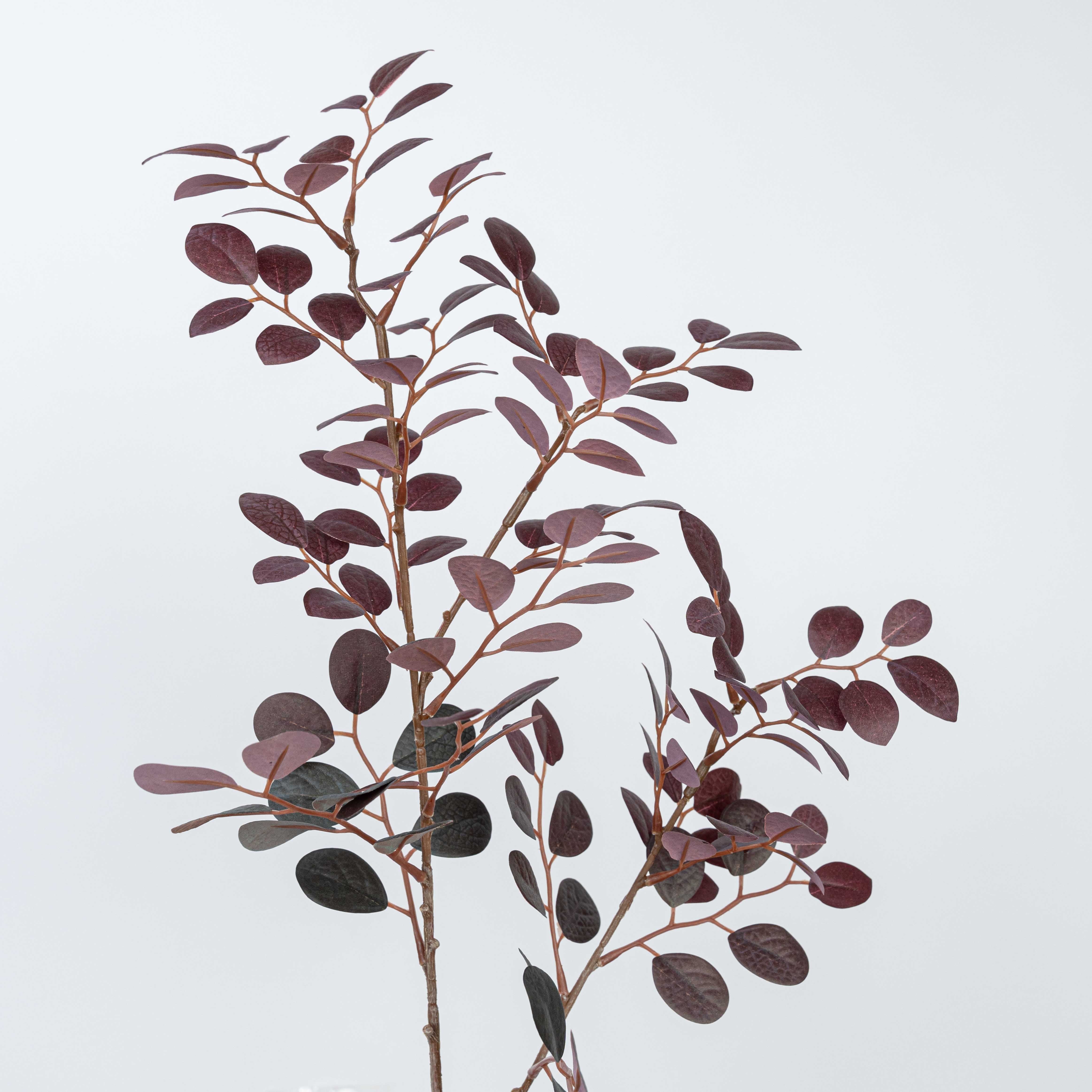 27" JUJUBE LEAF SPRAY
