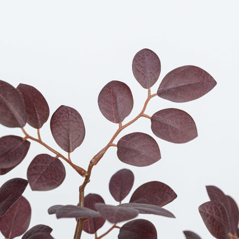 27" JUJUBE LEAF SPRAY