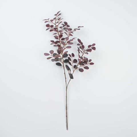 27" JUJUBE LEAF SPRAY