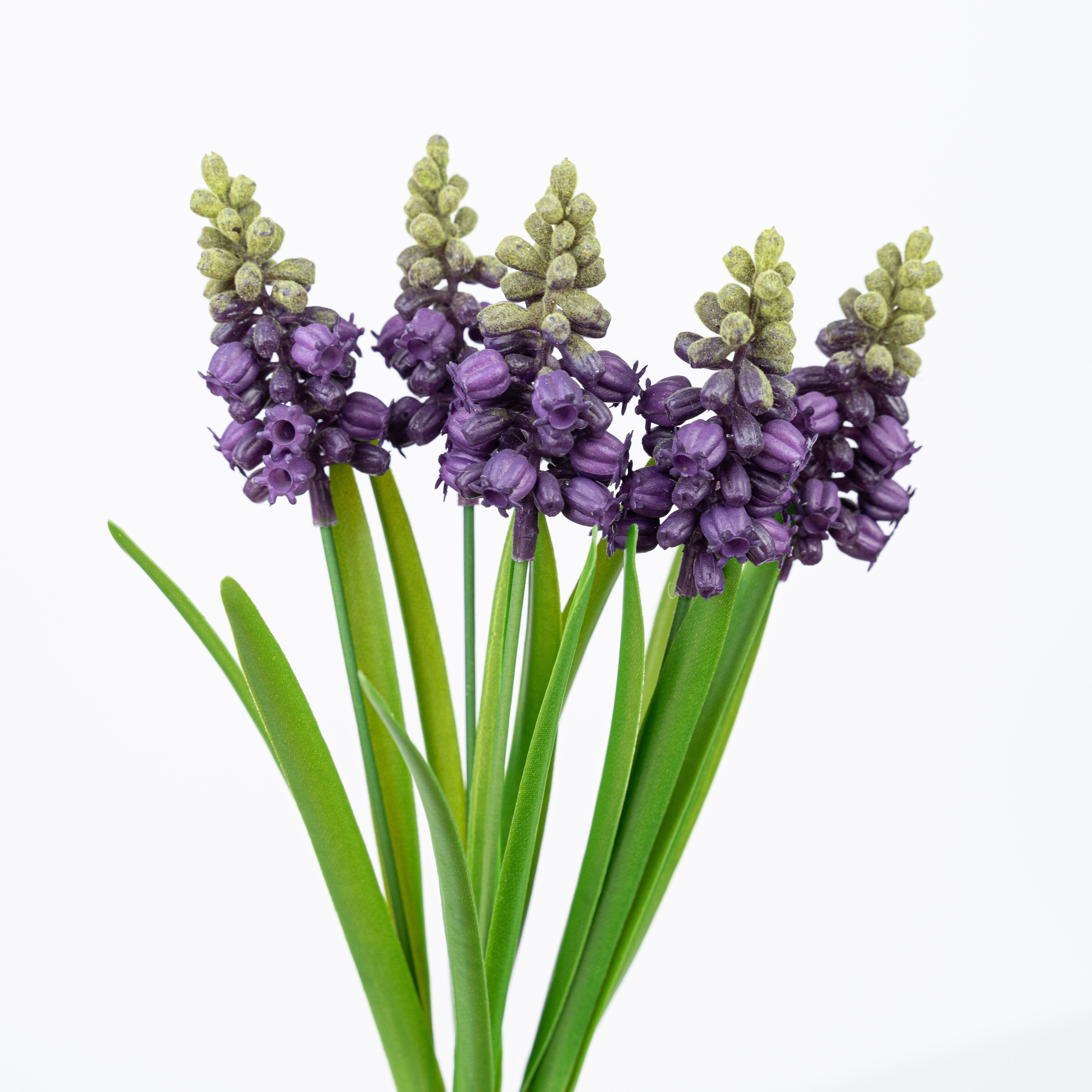12" HYACINTH BUNDLE