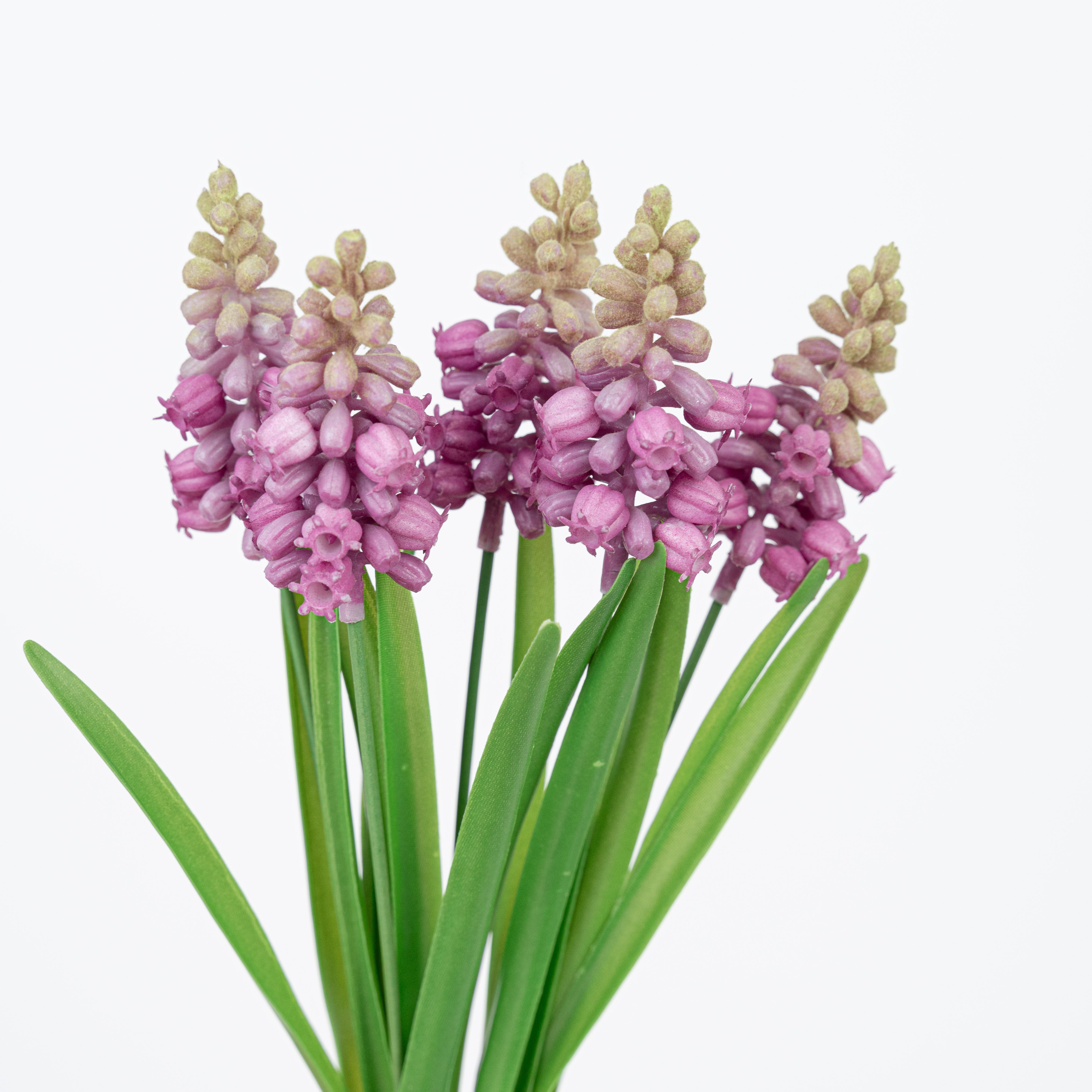 12" HYACINTH BUNDLE